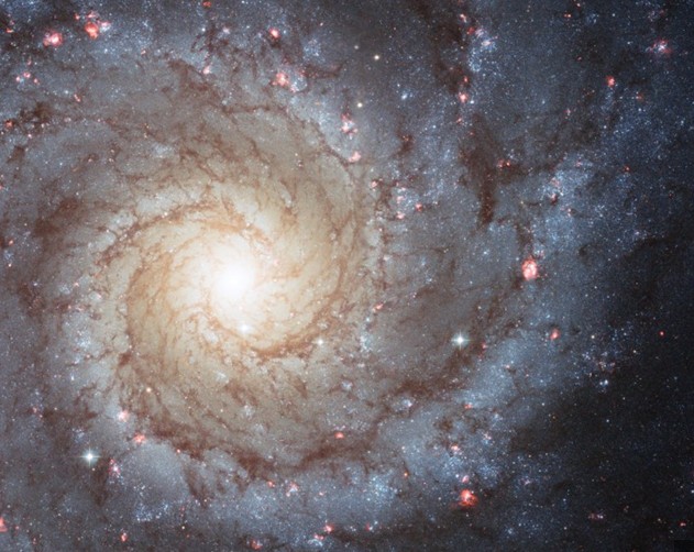 M74(NGC 628)